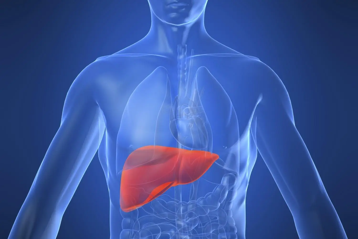 La frutta che pulisce il fegato: ecco quale mangiare per depurarlo naturalmente