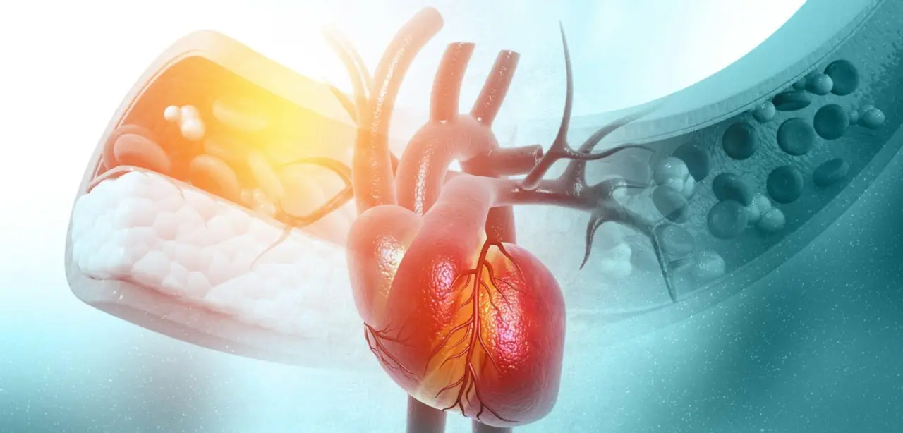 Il consiglio più importante del cardiologo per proteggere subito i tuoi vasi sanguigni