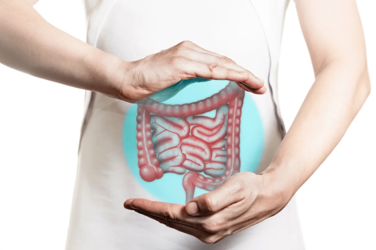 Il tuo intestino controlla la tua salute e il tuo umore: ecco come funziona davvero
